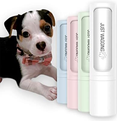 宠物用品的全方位指南