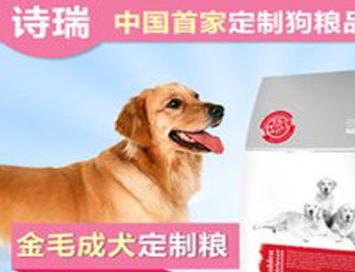 宠物用品加盟排行榜与加盟费分析 兼论数码类宠物产品发展趋势